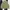 Gorpcore Casual Vest Pria green photo 5