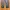 Streetwear Gorpcore Tracksuit Pria gray photo 2