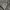 PALACE Skater Sweater Pria gray photo 2