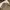 Uniqlo Streetwear Casual Casual shirt Pria multicolor tan photo 2