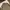 Uniqlo Streetwear Casual Casual Shirt Pria Multicolor Tan