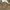Uniqlo Streetwear Casual Casual shirt Pria multicolor tan photo 4