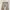 EDWIN Cottagecore Futurist Jeans Pria brown photo 3