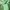 Melissa Minimalist Casual Sandals & slide Wanita green photo 4
