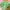 Melissa Minimalist Casual Sandals & slide Wanita green photo 3