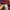 Uniqlo Vintage Streetwear Casual shirt Pria burgundy photo 6