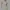 COLORBOX Minimalist Casual Sweatshirt Wanita cream photo 3