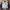 Dickies Minimalist Bomber jacket Kids cream photo 1