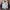 Dickies Minimalist Bomber Jacket Kids Cream