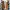 VANS Streetwear Sportswear Sneakers Pria tan cream photo 5