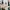 VANS Streetwear Sportswear Sneakers Pria Tan Cream
