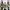 Asics Streetwear Sportswear Sneakers Pria multicolor photo 1