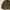 Streetwear Casual Harrington jacket Pria brown photo 3