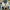 On Running Streetwear Sportswear Sneakers Wanita multicolor photo 6