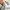 Adidas Streetwear Sportswear Sneakers Wanita multicolor cream photo 6