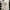 Asics Streetwear Casual Sneakers Pria tan cream photo 5
