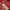 Nike Sportswear Casual Track jacket Pria red photo 3