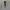 Luxury Casual Suit Pria white black photo 4