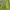 American Apparel Streetwear Sweatshirt Pria green photo 3