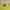 American Apparel Streetwear Sweatshirt Pria Green