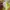 American Apparel Streetwear Sweatshirt Pria green photo 6