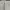 GAP Casual Jeans Pria cream photo 5