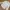 Katharine Hamnett Minimalist Casual Casual shirt Pria white photo 2
