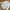 Katharine Hamnett Minimalist Casual Casual Shirt Pria White