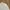Katharine Hamnett Minimalist Casual Casual shirt Pria white photo 3