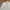 Katharine Hamnett Minimalist Casual Casual shirt Pria white photo 4