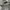 Carhartt Streetwear Hoody Pria gray photo 3