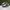 Puma Casual Sneakers Pria white green photo 3