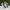 Puma Casual Sneakers Pria white green photo 1