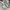 Onitsuka Tiger Casual Sneakers Pria gray cream photo 2