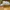 Nike Vintage Streetwear Sneakers Pria white photo 3