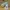 Nike Vintage Streetwear Sneakers Pria white photo 2