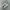 Adidas Streetwear Casual Sneakers Pria white black photo 1