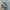 Adidas Streetwear Casual Sneakers Pria orange blue photo 4