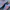 Adidas Streetwear Casual Sneakers Pria orange blue photo 2
