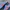 Adidas Streetwear Casual Sneakers Pria Orange Blue