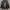 DogTown Y2K Denim jacket Pria black photo 1