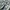 New Balance Streetwear Casual Sneakers Wanita white gray photo 2