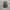 Adidas Streetwear Casual Sneakers Pria gray photo 7
