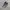 Adidas Streetwear Casual Sneakers Pria gray photo 4