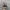 Adidas Streetwear Casual Sneakers Pria gray photo 6