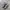 Adidas Streetwear Casual Sneakers Pria Gray