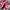 Nike Streetwear Casual Sneakers Wanita white red photo 2