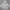 Nike Skater Casual Hoody Pria gray photo 1