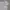 Nike Skater Casual Hoody Pria gray photo 2