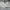Nike Skater Casual Hoody Pria gray photo 6